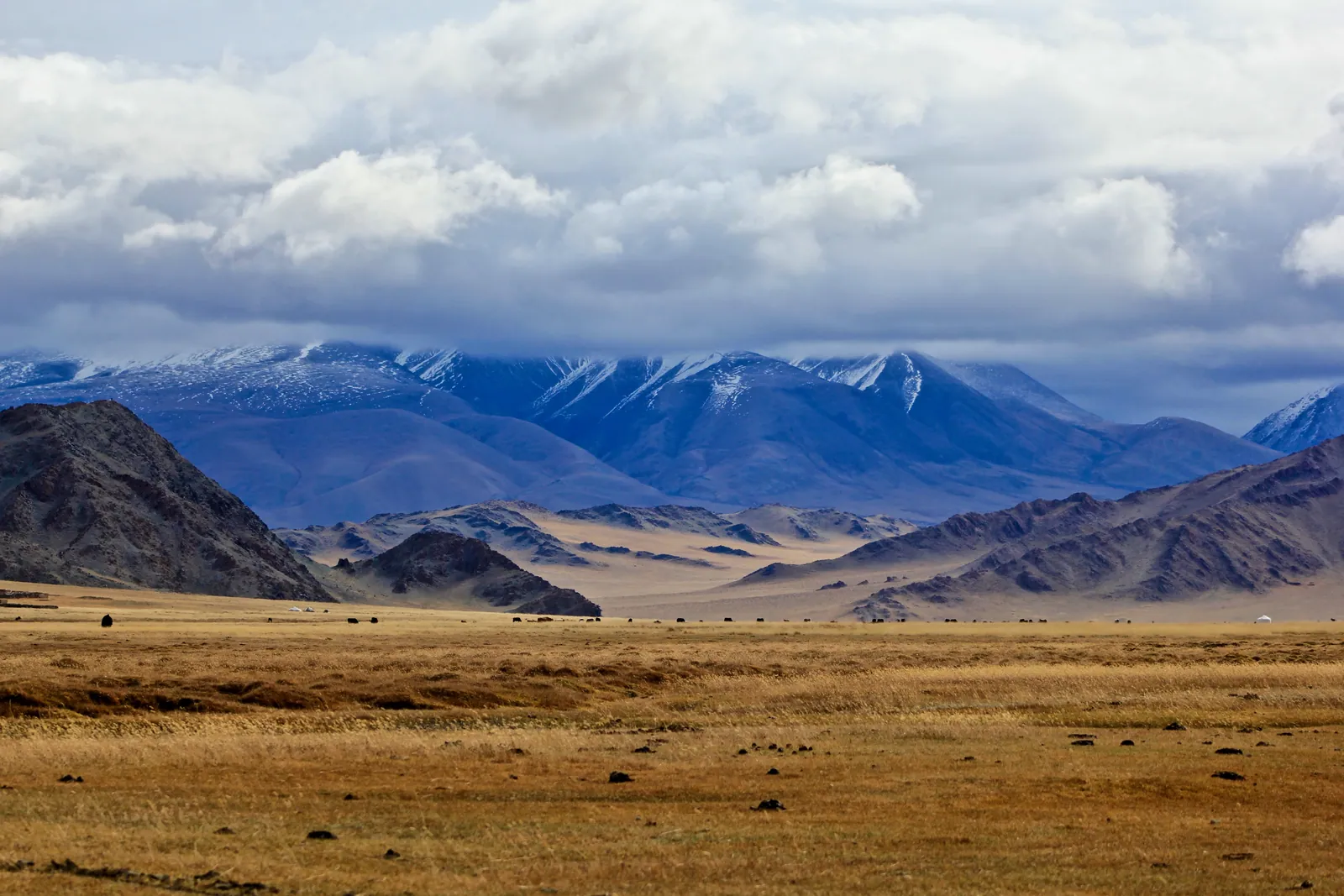 Estepa de Mongolia